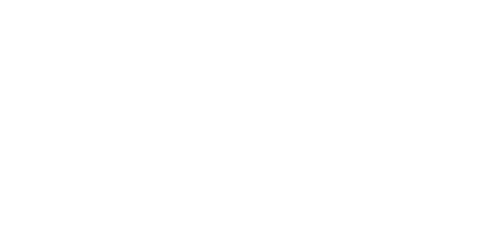 NestJs